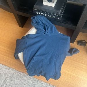 Aritzia hoodie